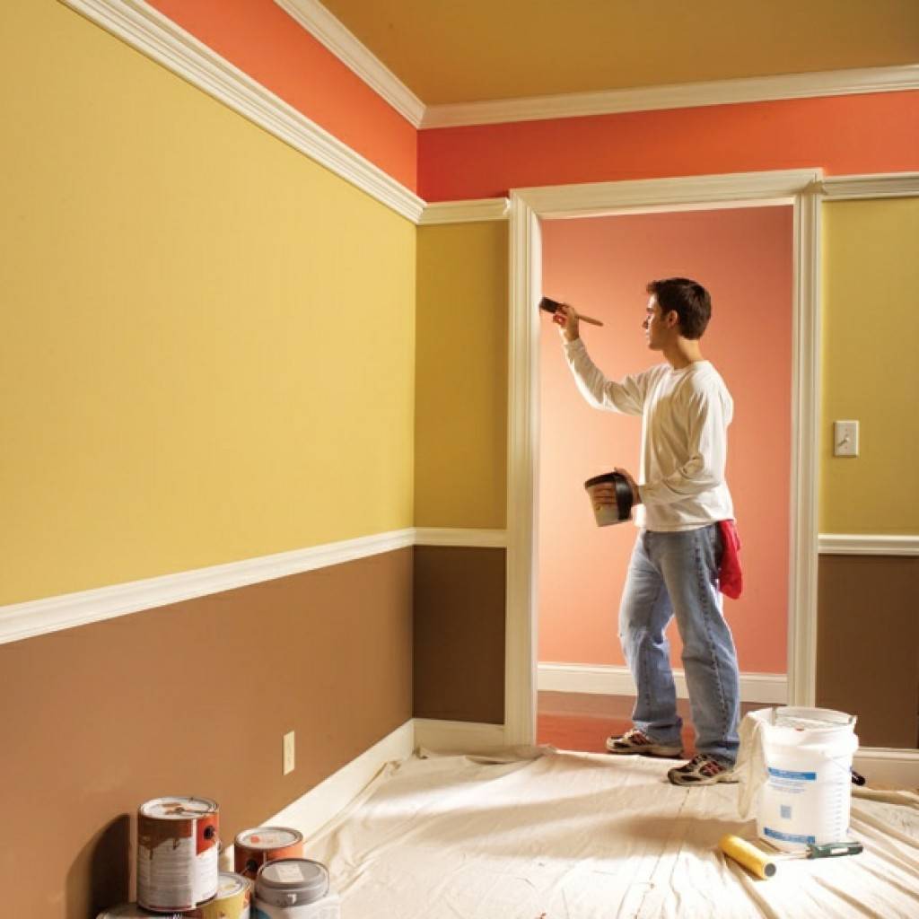 Варианты красок для стен в квартире — как выбрать нужный вариант