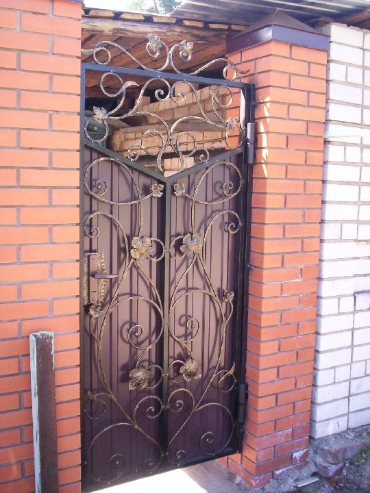 Кованые двери (50 фото): входные, для ворот, каминов, калиток