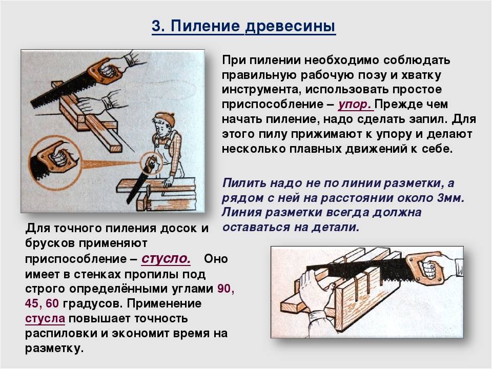 Как правильно спилить дерево бензопилой: руководство для начинающих