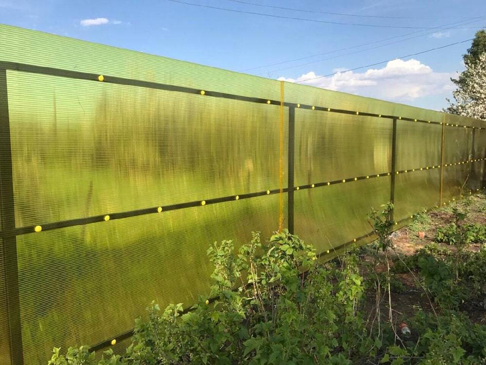 Забор из поликарбоната (47 фото): универсальные ворота на металлическом каркасе из сотового карбоната для частного дома