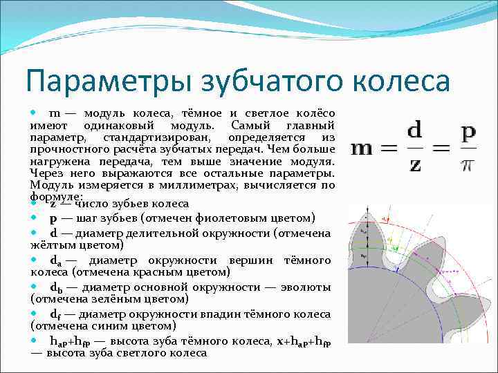 Модуль зубьев зубчатого колеса: расчет, стандартные, определение