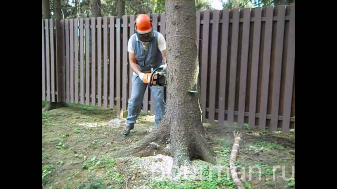 Как быстро спилить дерево