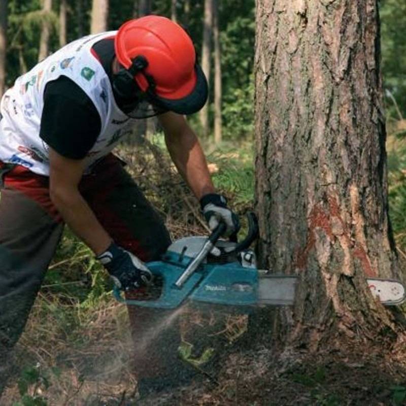 Бензопила makita dcs34 35: обзор, ремонт, отзывы, характеристики