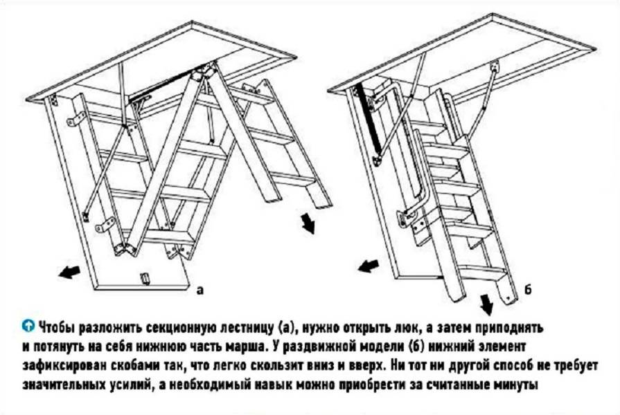 Чердачная лестница с люком своими руками чертежи - всё о лестницах