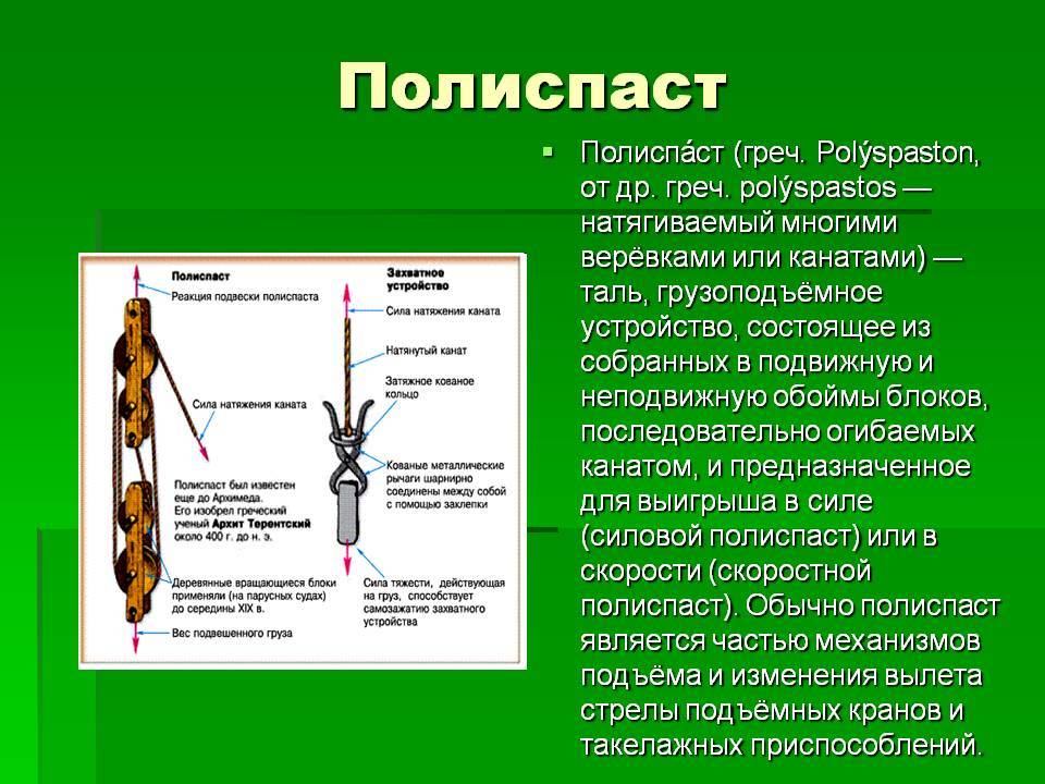 Полиспасты