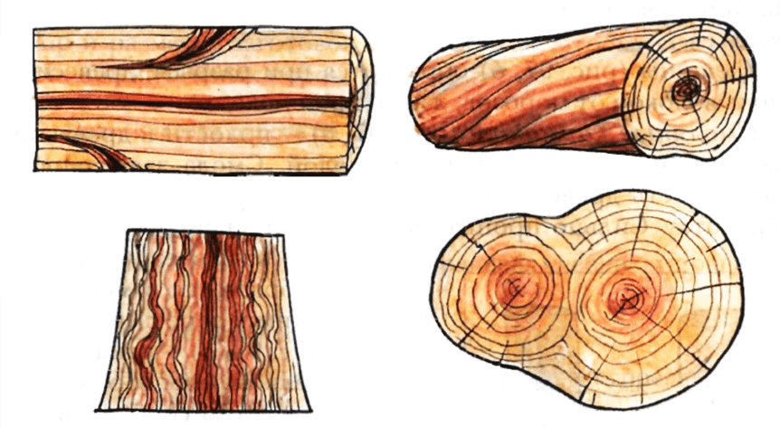 Пороки  и дефекты древесины. « строим сами