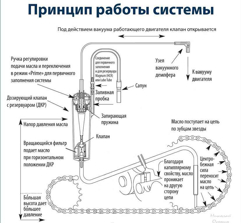 Устройство и принцип работы бензопилы и ее отдельных механизмов – мои инструменты