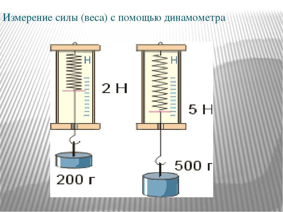 Динамометр – шкала измерения, принцип действия прибора и физическая величина (7 класс)