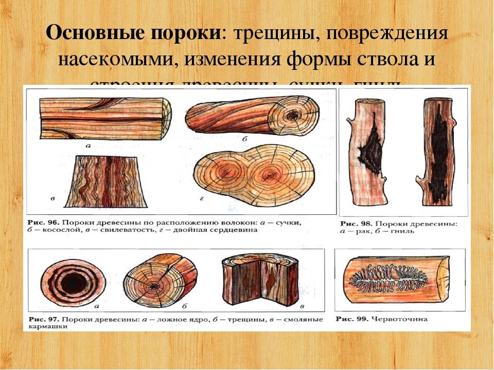 Виды пороков древесины способы заделки