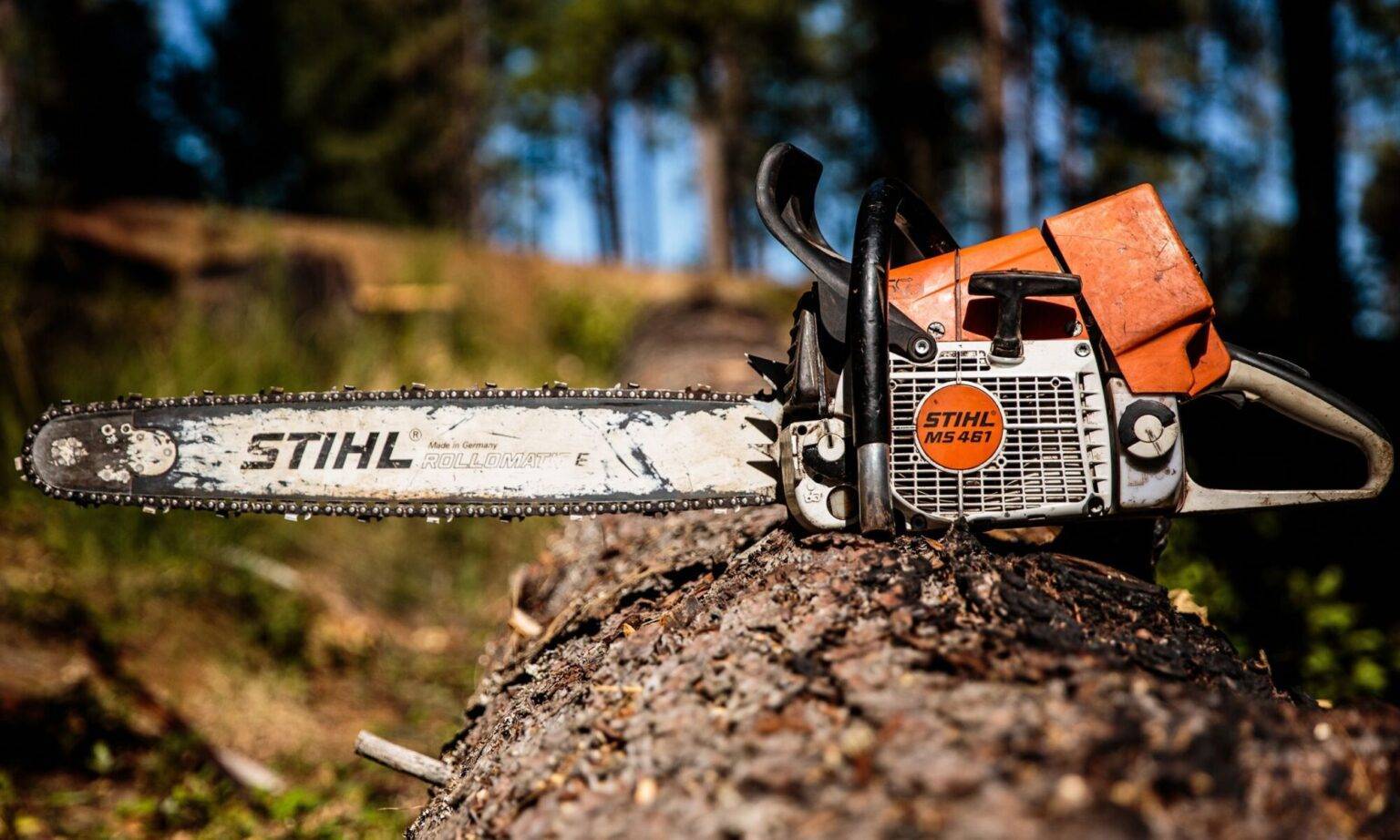 Лучшие бензопилы штиль (stihl) - рейтинг 2023 года: обзор моделей и техническое обеспечение + советы по выбору