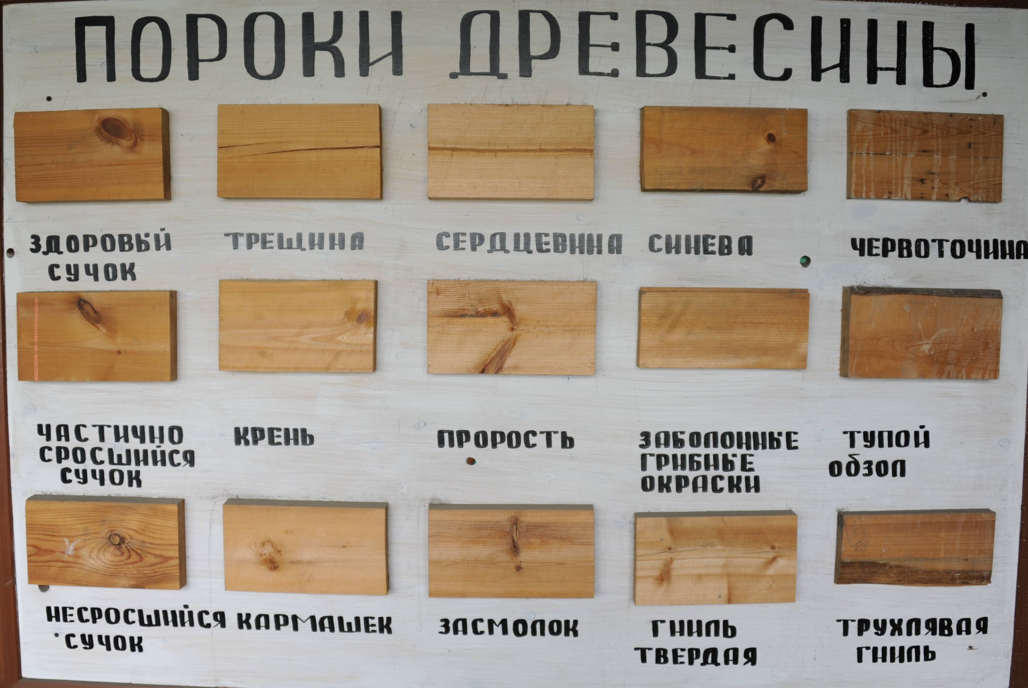Технология производства и дальнейшее применение пиломатериалов, виды сырья, классификация