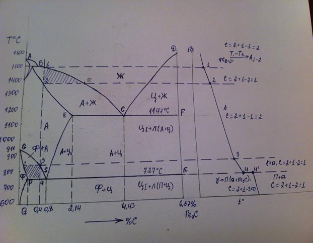 Диаграмма состояния сплавов железо-углерод структуры, кривые охлаждения | строитель промышленник