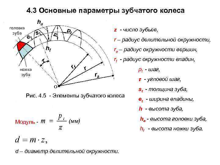 Модуль зубьев зубчатого колеса