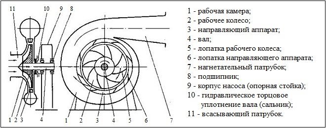 Центробежный водяной насос: виды, принцип действия | гидро гуру