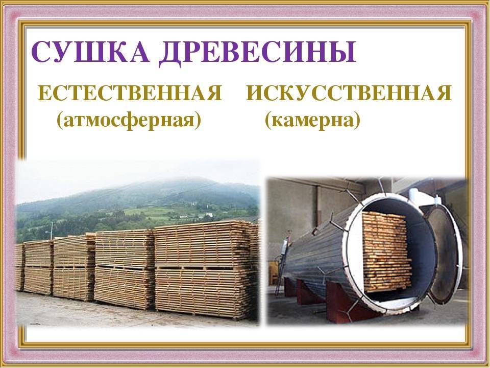 Сушка древесины: как высушить дерево на открытом воздухе, чтобы не трескалась и не повело