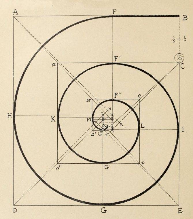 Улитка для холодной ковки своими руками: чертежи и размеры